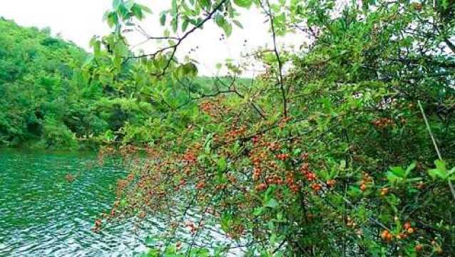 观山林幽静,空水共悠悠,鸟鸣山更幽!