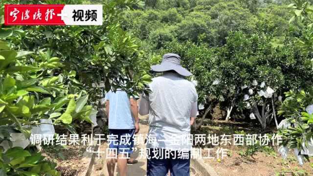 宁波专家赴凉山深入调研,只为编制这份规划,涉及医疗、消费、劳务等多个方面