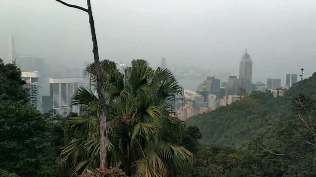 香港人的生活:实拍香港半山区,听说那里是香港的富人区,身家一个亿都住不进来