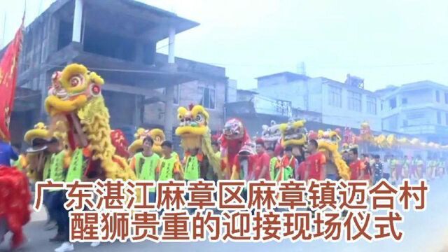 广东湛江麻章区麻章镇迈合村 醒狮贵重迎接现场仪式 祝贺她们结婚