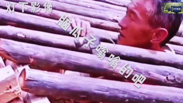 搞笑视频《七》,让你笑不停