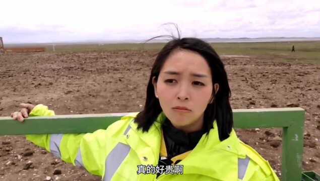 川藏北线若尔盖花湖,110元的门票妹子犹豫再三,最终还是没进去!