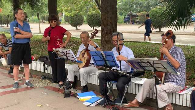 黄梅戏名段《梁山伯与祝英台ⷦœ›你望到谷登场》鉴赏:无为市民休闲戏曲表演文艺.