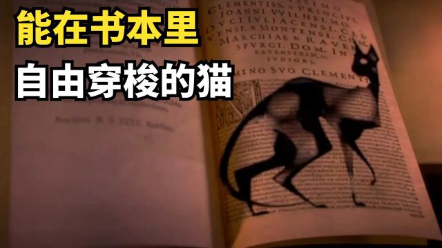 好奇心真的害死猫,男孩擅闯城堡禁地,被永远封印在画像中#电影HOT短视频大赛 第二阶段#