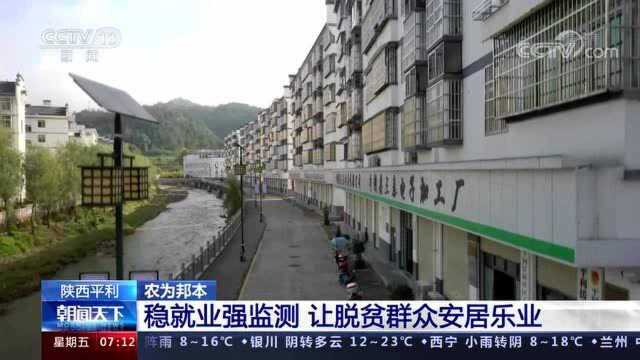 陕西平利:稳就业强监测 让脱贫群众安居乐业