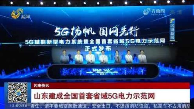 山东建成全国首套省域5G电力示范网