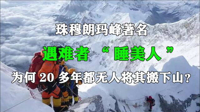 珠穆朗玛峰著名遇难者“睡美人”,为何20多年都无人将其搬下山?