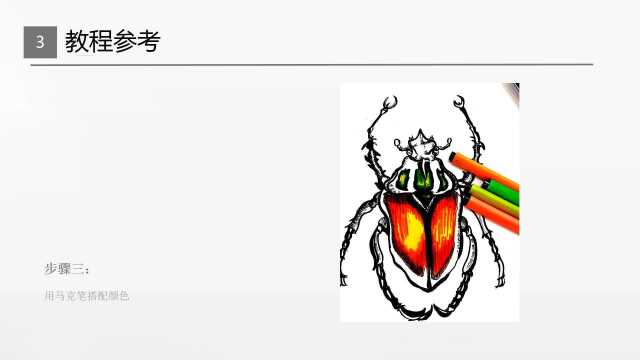 6~8岁《锹甲虫》