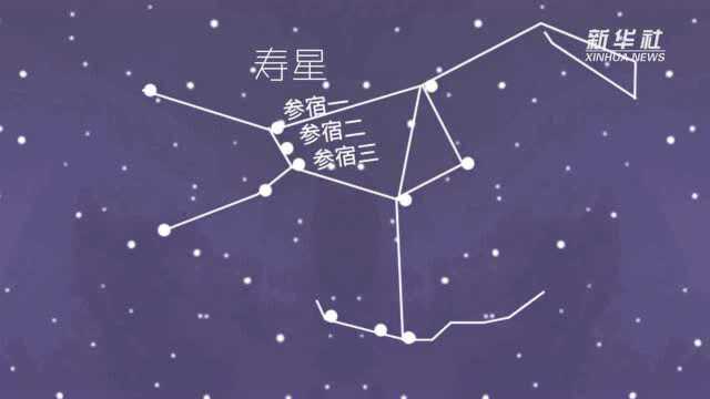 星空有约|天上有颗“老人星”,你知道吗?