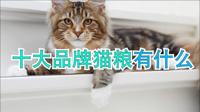 十大品牌猫粮有什么