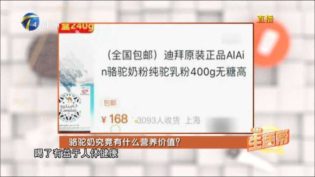 除了牛奶、羊奶竟然还有骆驼奶?究竟有什么营养价值?