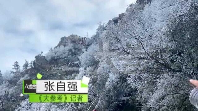 河南多地迎来2021年的第一场雪,你那里下雪了吗?