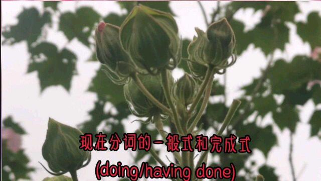 现在分词的一般式和完成式(doing/having done)