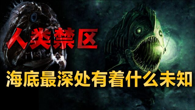 海底一万米存在什么?神秘的海怪传说,长相奇异生物颠覆人类认知