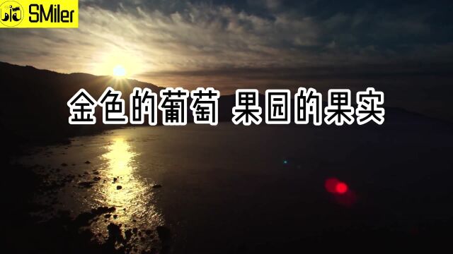 263《澄明的秋天》特拉克尔【为你读诗 263】