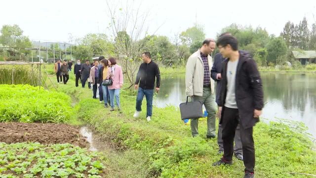 尚学合肥:市级社区教育示范街道验收考评进行中