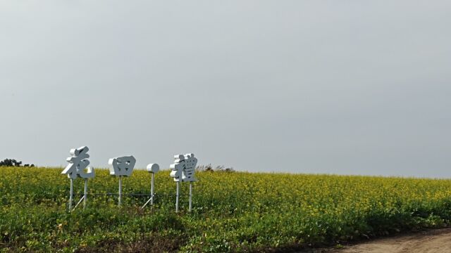 从长春花田礼营地到新立城水库 泄洪捕鱼 明年我们相约最好的季节里不见不散