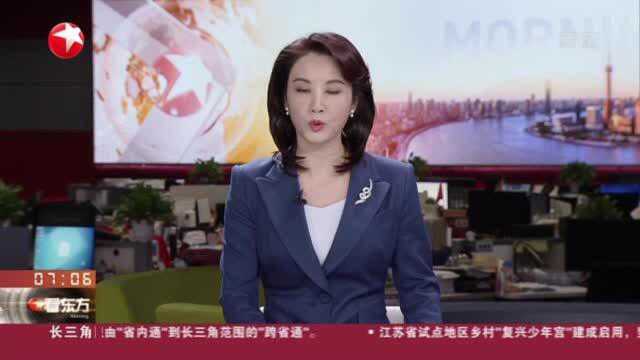 吴凡:“上海速度”的背后 有着完备的防控体系和应急预案