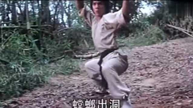 无招胜有招:1979年的老片,功夫电影中的经典之作,武打绝对一流