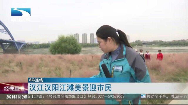 【5G连线】汉江汉阳江滩美景迎市民