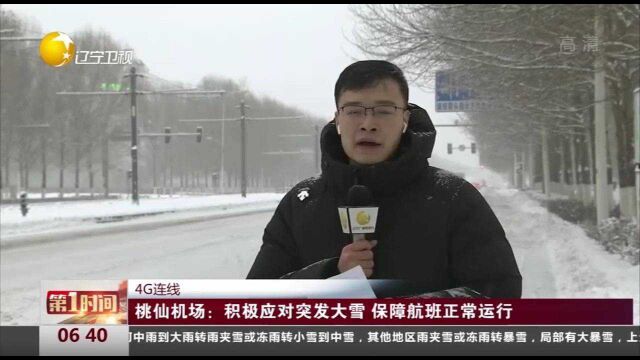 沈阳桃仙机场:积极应对突发大雪,保障航班正常运行