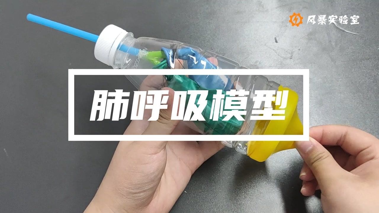 梅尔菲斯