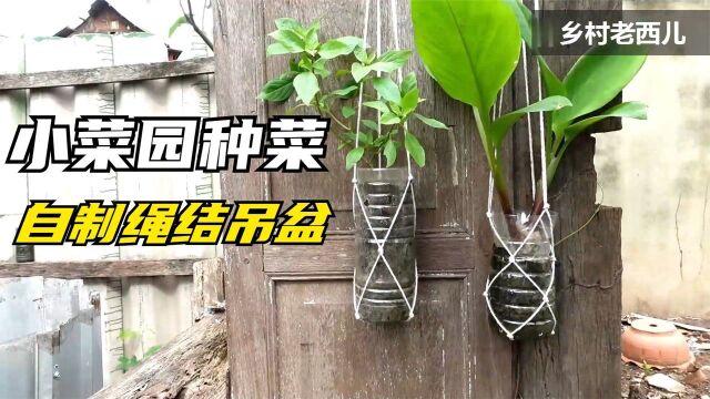 分享一种种菜吊盆绳结的方法,结实耐用,比传统吊盆还好用