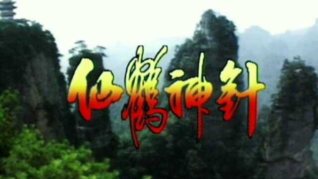 #1992亚洲电视版〖仙鹤神针〗主题曲《仙鹤情缘》演唱:叶丽仪