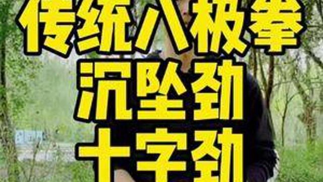 #创作灵感 八极精华尽在于此#传统武术 #八极拳教学 #国武当潮