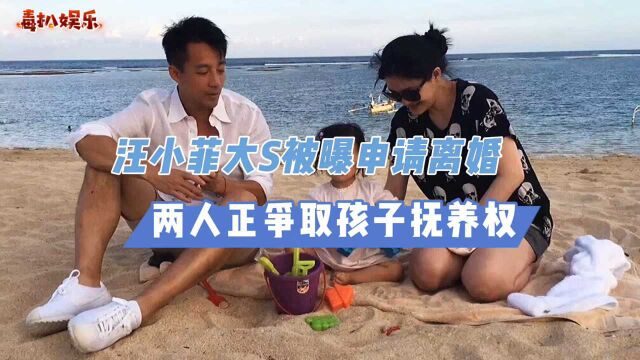 大S已提交申请!与汪小菲离婚,正在争抚养权?