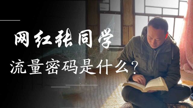 张同学突然蹿红,38个视频吸粉550万!他的流量“密码”是什么?