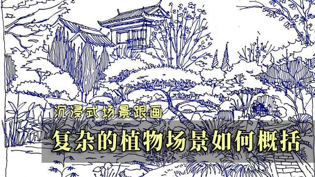 【景观手绘】复杂的植物场景应该如何概括