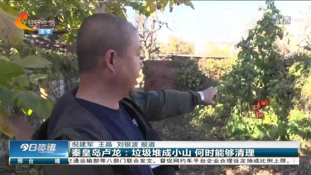 垃圾堆成山为何没人清?环卫公司无奈:都不往垃圾桶里倒