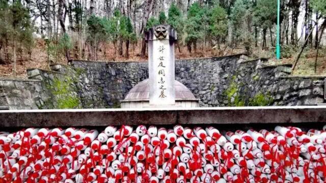 只论战功许世友不如邓华,更不如陈赓,但他是唯一土葬的开国将军