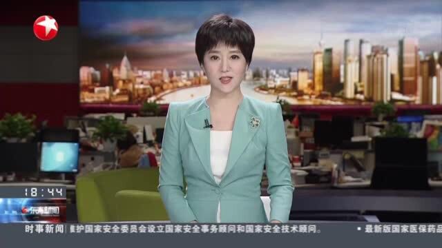 上海:首个5G智慧电厂投用 “老机组”绿色“转身”