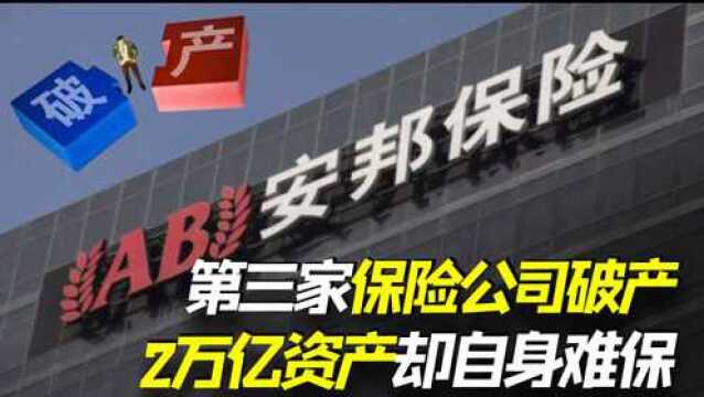 2万亿资产都自身难保,国内第三家保险公司破产,用户保单咋办?#看点丰收计划“2021岁末狂欢好物集市”