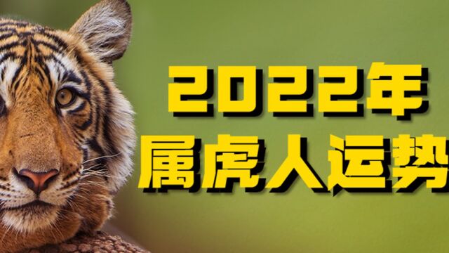 属虎人2022年本命年运势如何 锦上添花