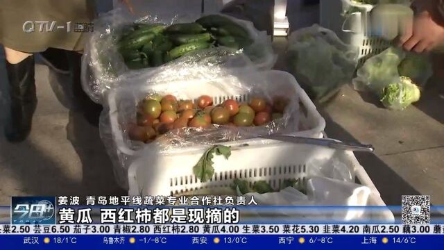 “采食即墨”优质农产品专场推介会走进李沧区