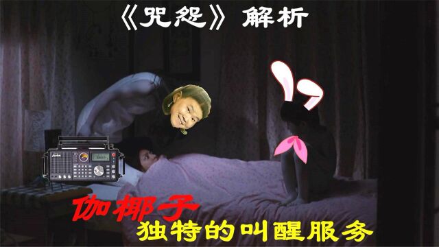 逗趣解说当年没看懂的恐怖片《咒怨》,是谁造就了伽椰子?