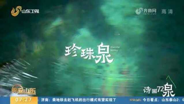 泉边生浮玑、珠帘百丈铺!来济南珍珠泉找寻独属于泉水的“浪漫”