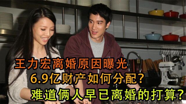 王力宏离婚原因曝光,6.9亿财产如何分配?俩人早已离婚的打算?