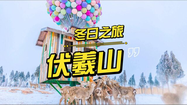 郑州周边冬日冰雪游,去云上牧场滑雪喂200只小鹿,跨年元旦好去处