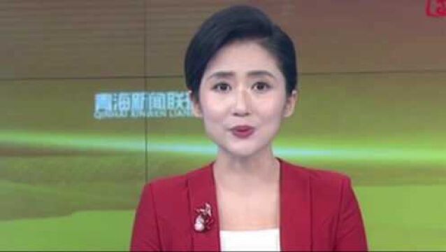 青海省为困难群众发放“两节”一次性生活补贴1.56亿元,惠及全省城乡困难群众36.95万人