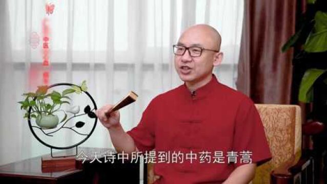 这株著名的“中国神草”,专清虚热,对肝胆尤其好