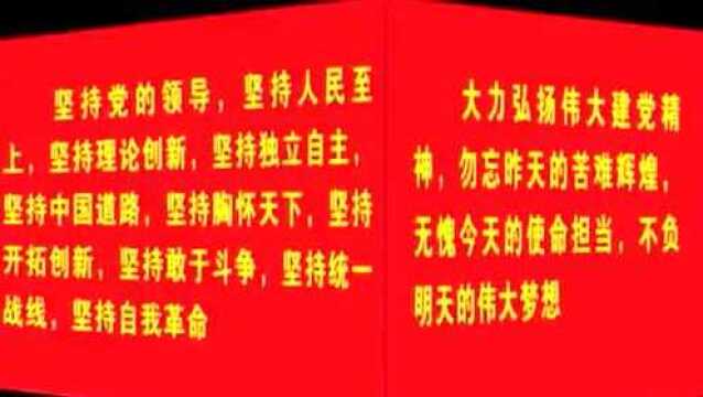 县领导到阳朔镇、兴坪镇检查指导林长制和乡村振兴工作