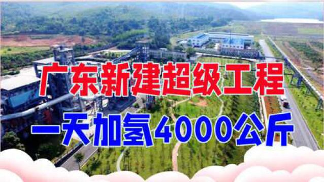 占地20亩投资3500万,广东新建超级工程,一天加氢4000公斤