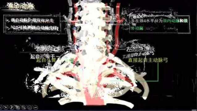 【免费领取】长达6小时13节神经介入必修课程【免费领取】