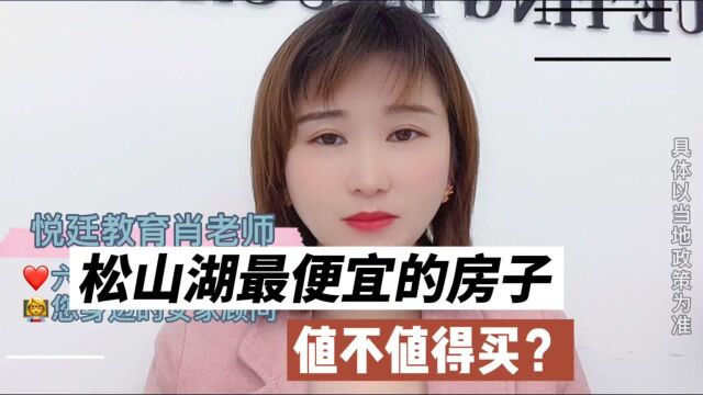 松山湖最便宜的房子, 值不值得买?