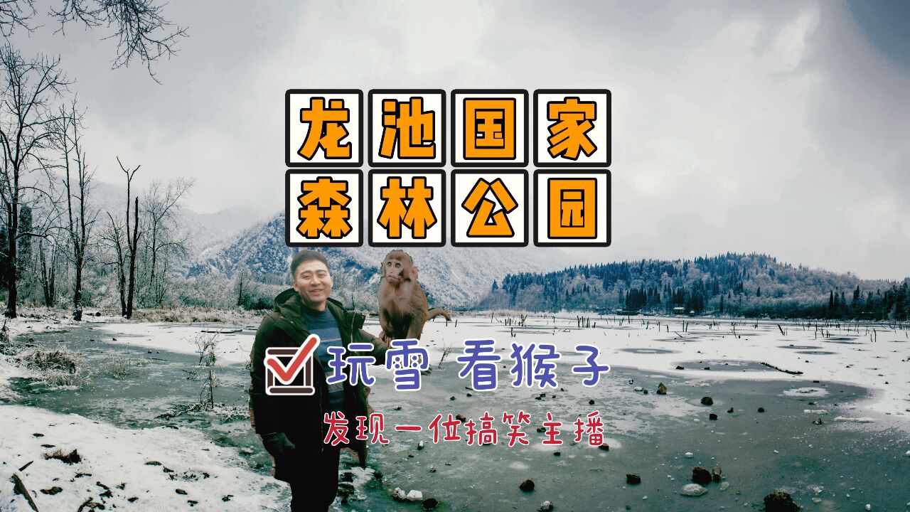 成都周边也可以玩雪看猴子都江堰龙池国家森林公园