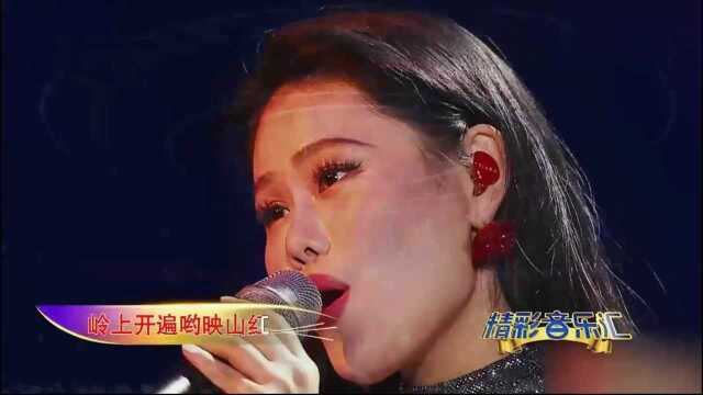 歌曲《映山红》